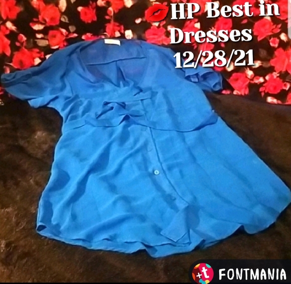 WAS $45 LUSH NORDSTROM Sheer BLUE Button Tunic/Shirtdress - Picture 2 of 13